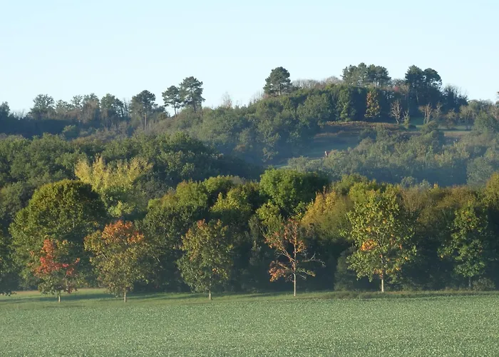 La Geneste Un Gite Dans La Campagne Sarladaise