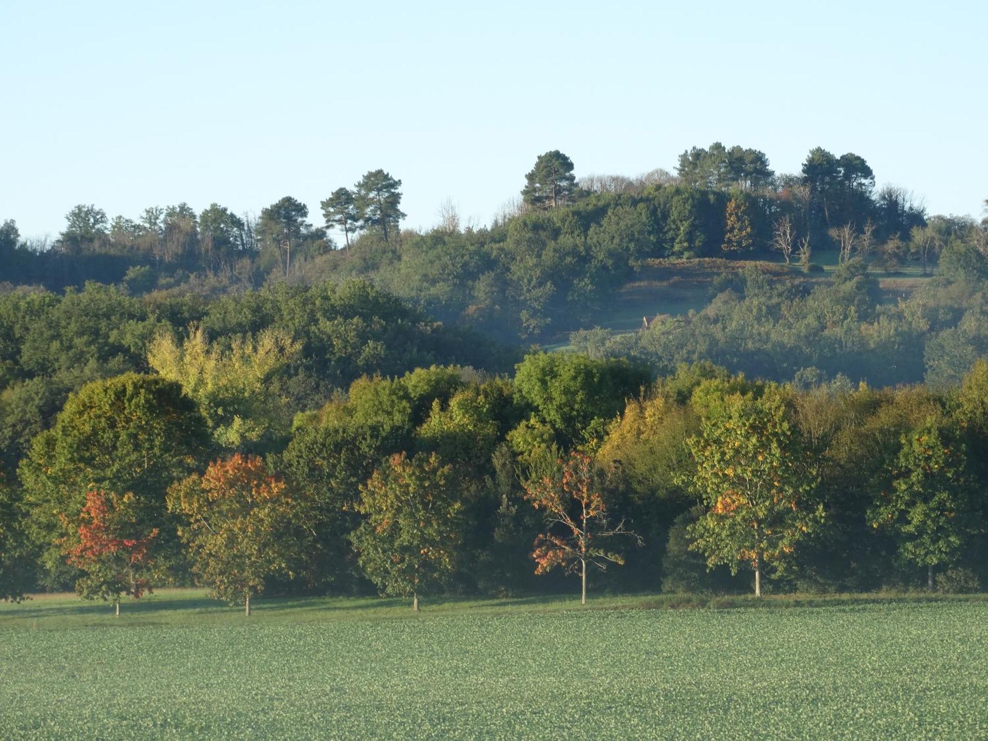 La Geneste Un Dans La Campagne Sarladaise Holiday home